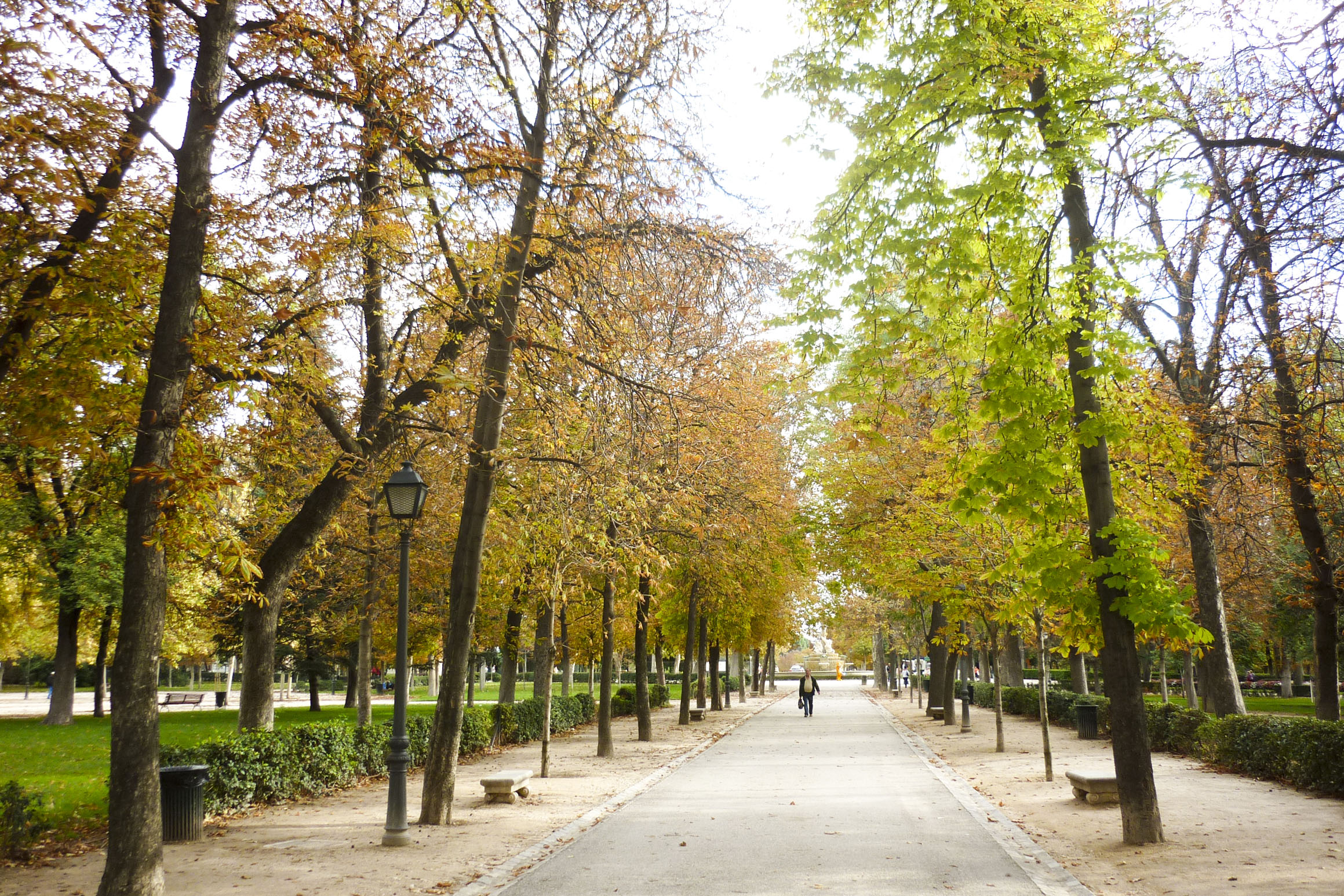 Outono no Parque do Retiro em  Madrid