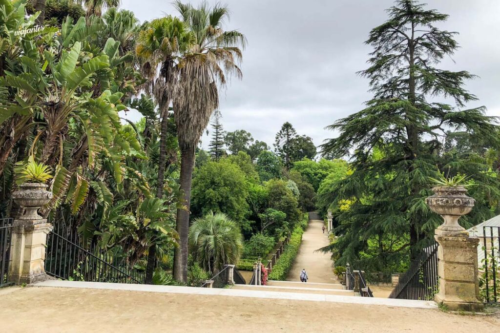 Escadaria de entrada no Jardim Botânico da Universidade de Coimbra