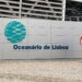 oceanário de lisboa