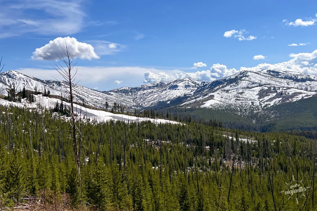 estrada de Cody para Yellowstone