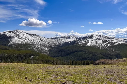 Parque Yellowstone em 2 dias - dia 1 2