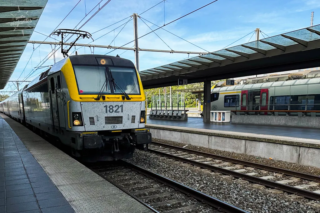 Trem chegando na movimentada Estação Bruxelas Midi: plataformas múltiplas.