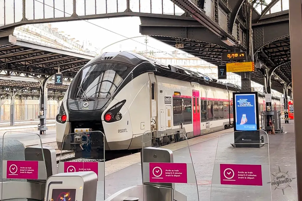 "Trem regional na plataforma da Gare de l'Est em Paris sob estrutura de ferro".