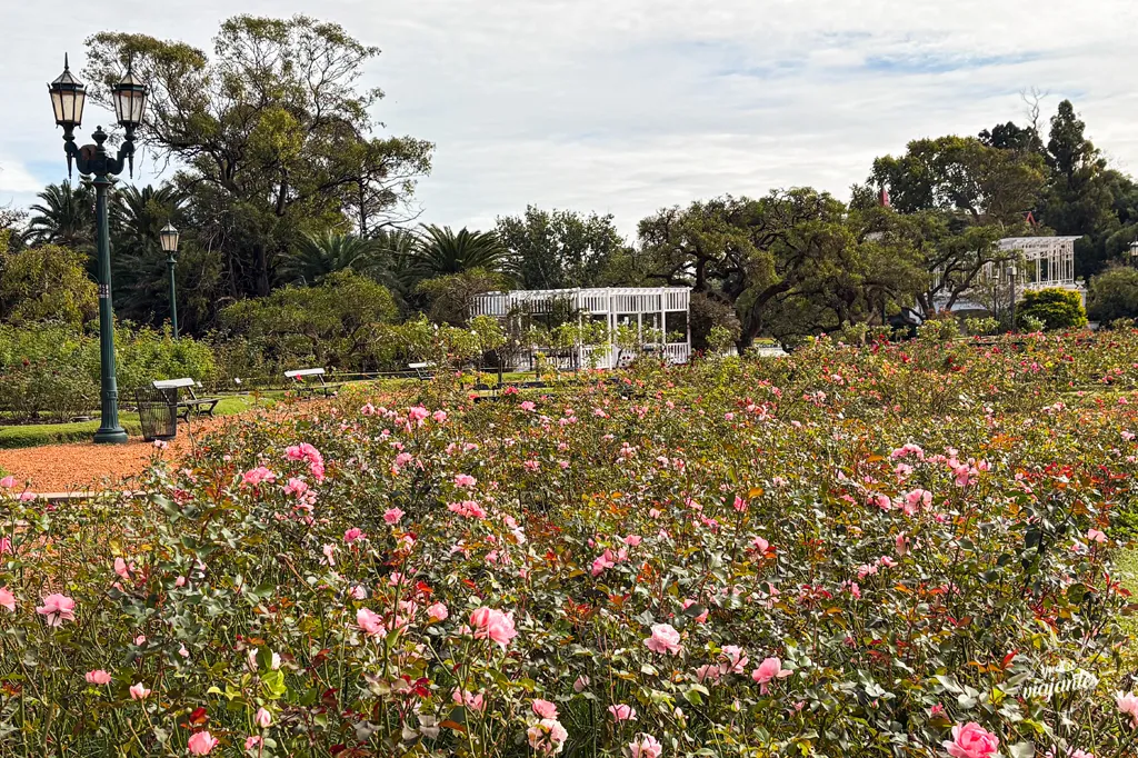 El Rosedal de Buenos Aires no início do outono. Um dos parques dos bosques de Palermo.